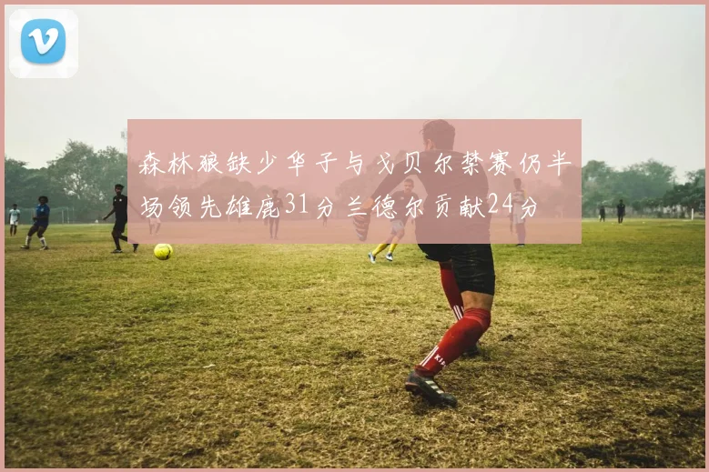 森林狼缺少华子与戈贝尔禁赛仍半场领先雄鹿31分兰德尔贡献24分