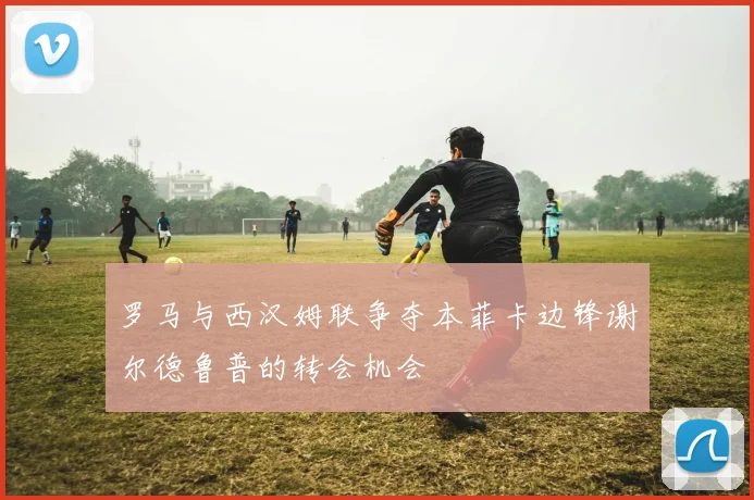 罗马与西汉姆联争夺本菲卡边锋谢尔德鲁普的转会机会